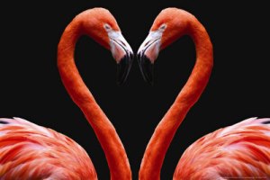 The Manifestation of Our Vision is Our Legacy