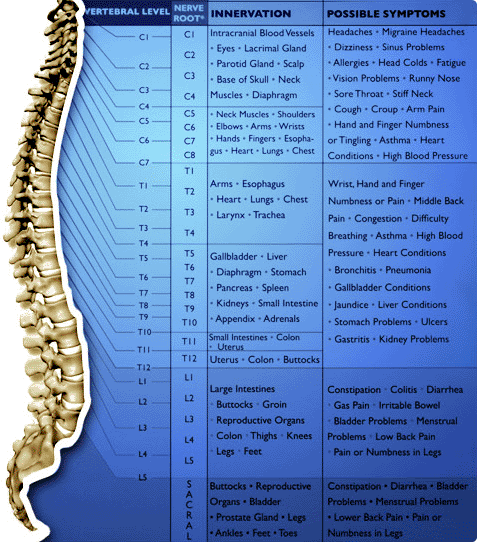 Subluxation Chart of Effects